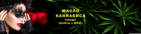 индика Бронницы