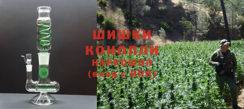 где можно купить наркотик  Лесозаводск  Бошки марихуана SATIVA & INDICA 